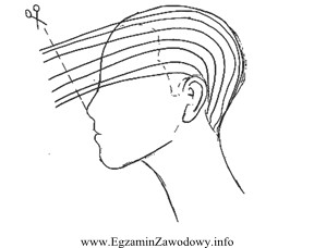 Przedstawiony rysunek zabiegowy sposobu cięcia włosów należ