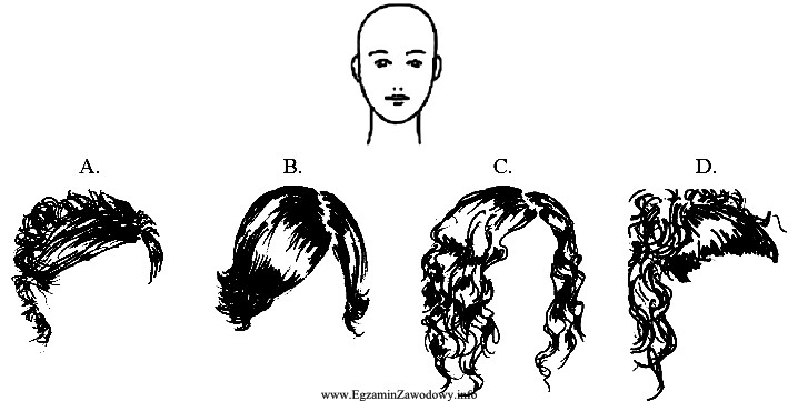 Do kształtu głowy przedstawionego na rysunku dobierz fryzurę 