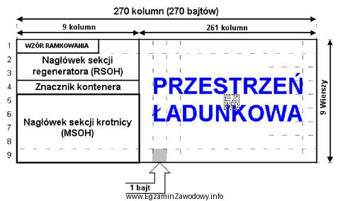 Na rysunku jest przedstawiona struktura ramki systemu