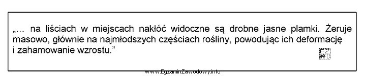 Opis zamieszczony w ramce dotyczy