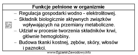Która grupa składników pokarmowych pełni w 