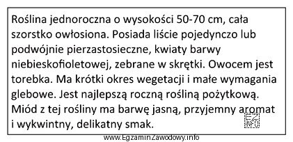 Której rośliny miododajnej dotyczy załączony opis?