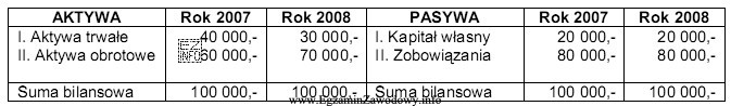 Uproszczone bilanse jednostki gospodarczej sporządzone na dzień 31 grudnia 2007 r. 