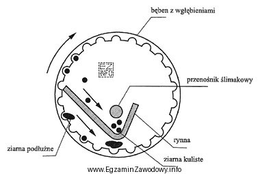 Na rysunku przedstawiono