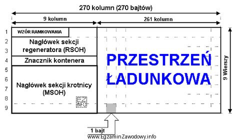 Na rysunku jest przedstawiona struktura ramki systemu