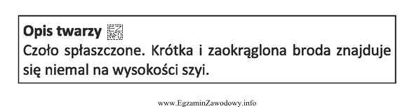 Opis dotyczy twarzy o profilu