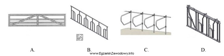 Do oddzielenia grup technologicznych owiec w owczarni należy zastosować 