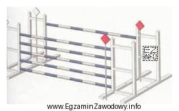 Przeszkoda przedstawiona na ilustracji to