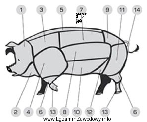 Łopatka na przedstawionym schemacie świni oznaczona jest numerem