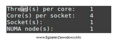 Przedstawioną diagnostykę systemu Linux można zrealizować za pomocą polecenia