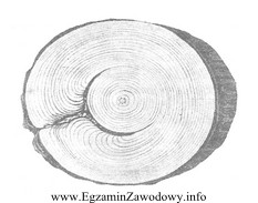 Jak nazywa się wada drewna pokazana na rysunku?