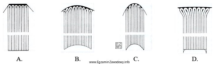 Który grzbiet wkładu wieloskładkowego ma kształt 