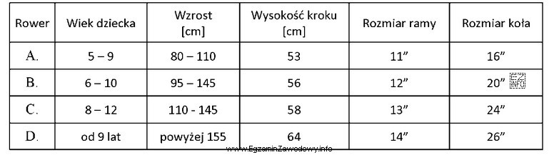 Który rower sprzedawca powinien polecić klientce szukającej sprzę