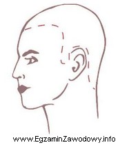 Który kształt profilu twarzy klienta przedstawiono na rysunku 