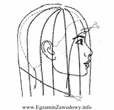 Rysunek instruktażowy fryzury damskiej przedstawia