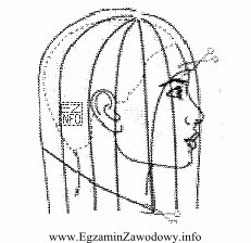 Rysunek instruktażowy fryzury damskiej przedstawia
