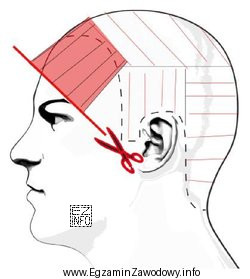 Na rysunku przedstawione jest strzyżenie techniką podstawową