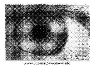 Obraz przedstawiony na zdjęciu zapisano z głębią