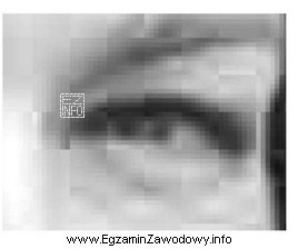 Na podstawie fragmentu obrazu można wnioskować, że zdjęcie 
