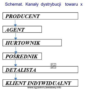 Zamieszczony schemat przedstawia kanał dystrybucji, z którego może 