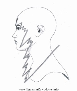 Na rysunku widoczny kontur wewnętrzny fryzury