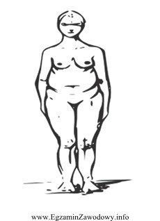 Na rysunku przedstawiono kobietę o kształcie sylwetki typu