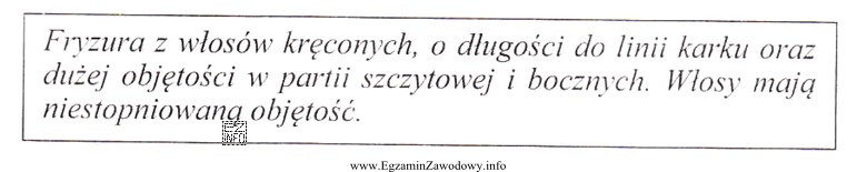 Fryzura zaprojektowana zgodnie z opisem przyjmuje geometryczną formę