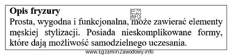 Opisana fryzura została zaprojektowana w stylu