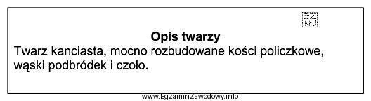 Przedstawiony opis dotyczy twarzy w kształcie