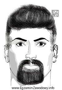 Którą formę brody przedstawiono na ilustracji?