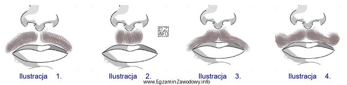 Która ilustracja przedstawia wąsy w formie muchy?