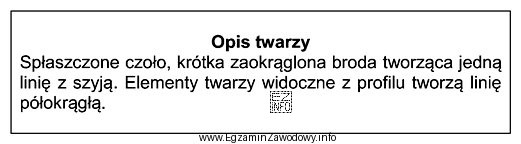 Zamieszczony opis dotyczy twarzy o profilu