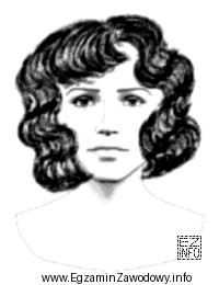 Do wykonania projektu fryzury zamieszczonej na ilustracji użyto linii