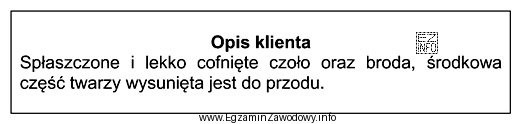 Zamieszczony opis dotyczy twarzy o profilu