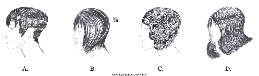 Wskaż projekt fryzury awangardowej.