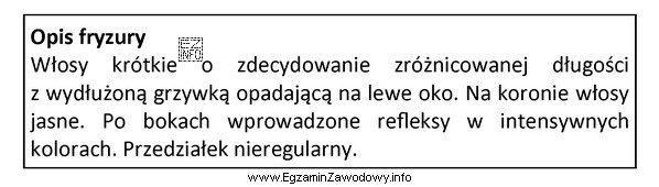 Który rodzaj kompozycji został zastosowany do zaprojektowania fryzury, któ