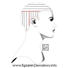Rysunek instruktażowy zabiegu strzyżenia włosów dotyczy 