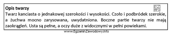 Zamieszczony opis dotyczy charakterystycznych cech twarzy o kształcie