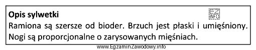 Zamieszczony opis dotyczy sylwetki typu