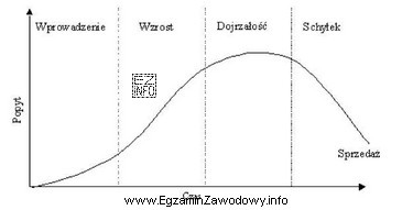 W której fazie cyklu życia produktu należy 