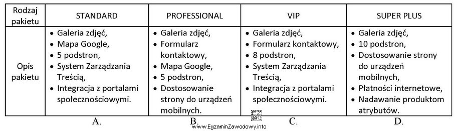 W szczegółach dotyczących zlecenia wykonania strony internetowej 