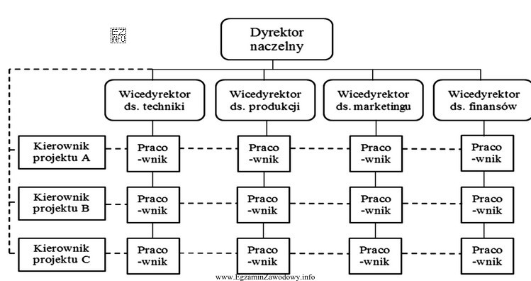 Który system powiązań komórek organizacyjnych w przedsię