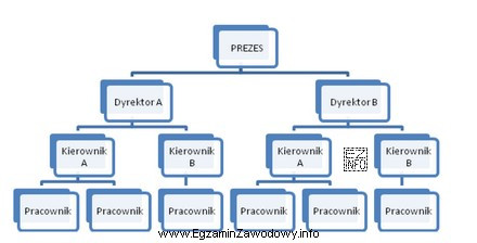 Którą strukturę organizacyjną przedsiębiorstwa przedstawiono na schemacie?