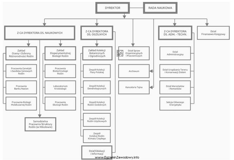 Na schemacie przedstawiono strukturę organizacyjną Ogrodu Botanicznego Polskiej Akademii Nauk. 