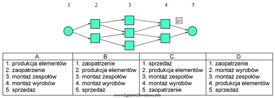 Które zestawienie przedstawia prawidłową kolejność procesów w ł