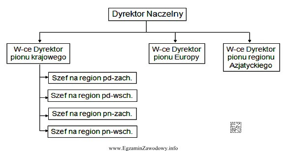 Przedstawiony schemat struktury organizacyjnej przedsiębiorstwa ilustruje specjalizację