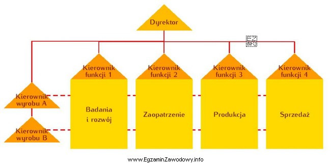 Który rodzaj struktury organizacyjnej przedsiębiorstwa przedstawiono na rysunku?