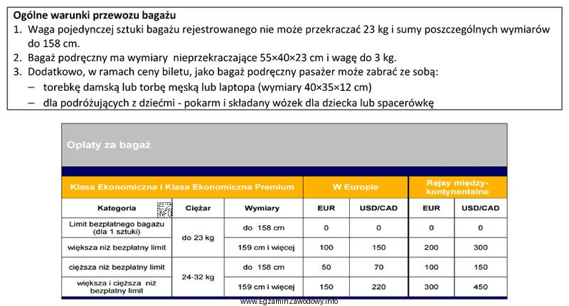 Ile zapłaci za bagaż pasażer, który leci 