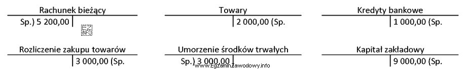 Wskaż konta, na których błędnie wpisano salda 