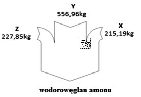 Teoretyczny bilans procesu otrzymywania 1 tony wodorowęglanu amonu przebiegającego 
